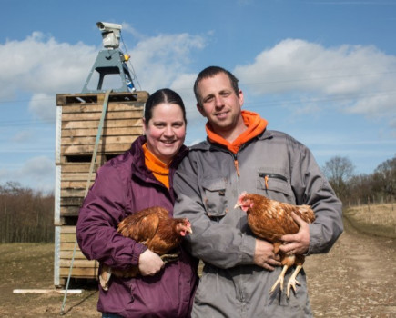 Lasers to keep poultry chickens safe from avian bird flu