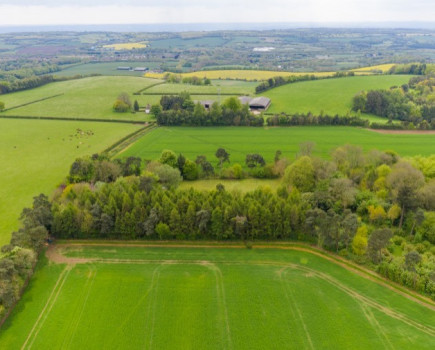 Fine downland farm