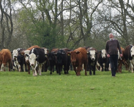 Pub supports organic farm and brewery