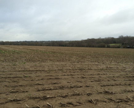 Useful block of arable land