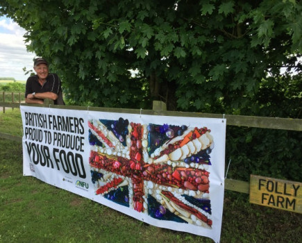 Farm aims to let cover crops do everything