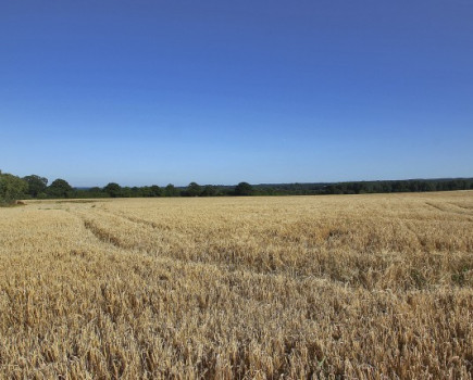 Land near Sevenoaks, Kent