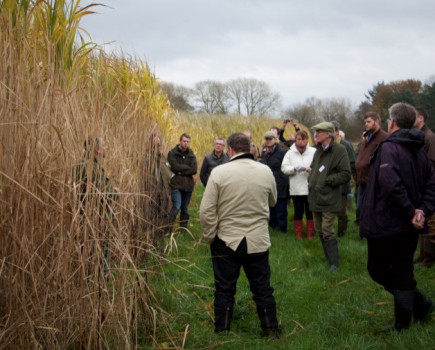 Miscanthus crop planted on difficult land showcased on Berkshire farm walk