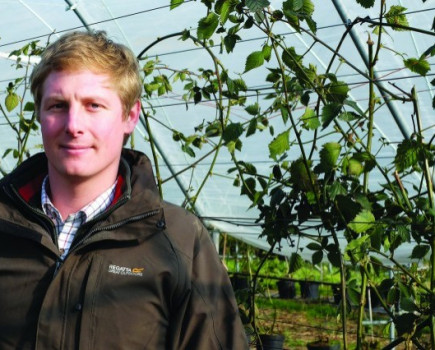 Recruitment is fruit farm’s biggest challenge