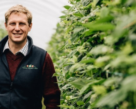 Maidstone farmer shortlisted for M&S ‘Farming for the Future’ award