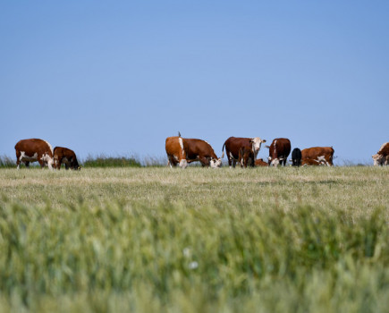 Pioneering new training course for the organic sector