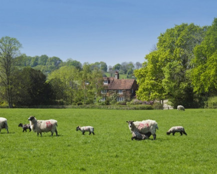 Stunning farm