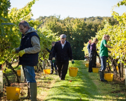 Growers to be hit by increased labour costs