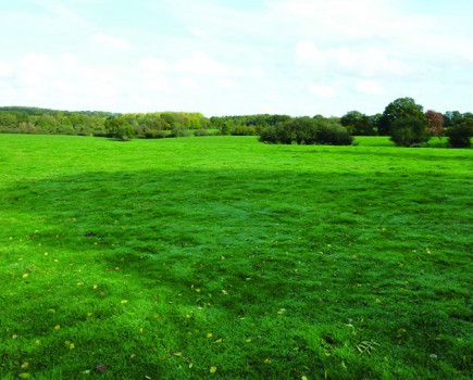 Fields and a water meadow