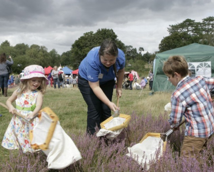 Family fun and wildlife return to Petersfield Heath