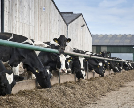 Reduce feed waste to help silage stocks last until turnout