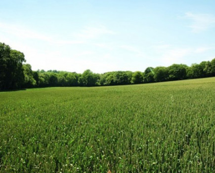 Farmland market showing extreme variability