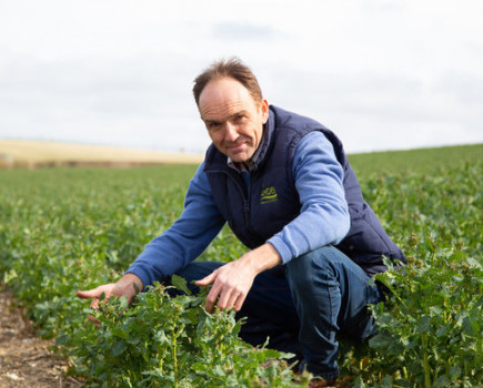 Black-grass experience inspires farmer to share his story