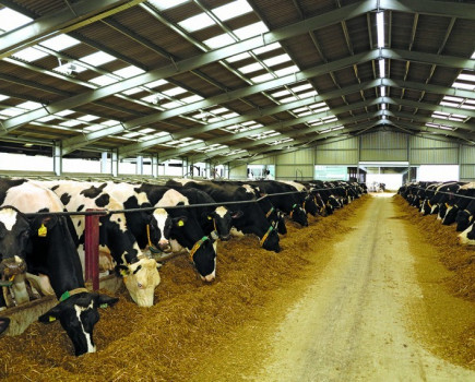 Building promotes herd health