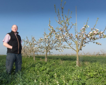 Farmers urged to branch out