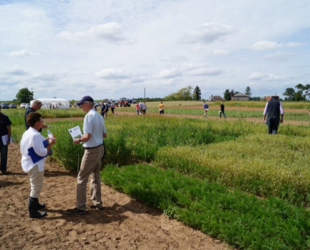 AHDB announce new crop protection project