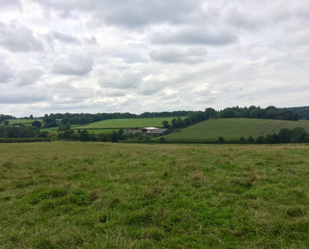 Livestock farm in idyllic location