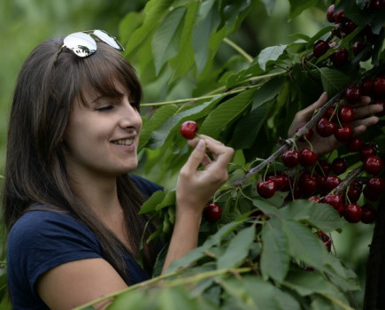 Apprentice wins Sainsbury’s award