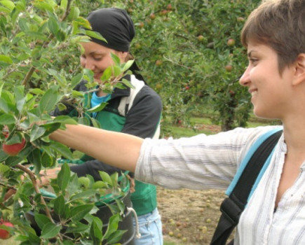 UK will need a new land army to feed the nation