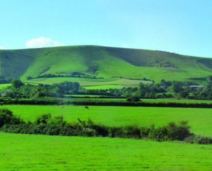 Tough new regime for big farms in park