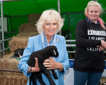 Royal visit for 50th South of England Show