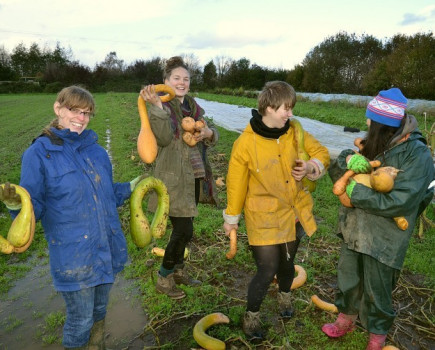 More farms wanted in drive to end food waste