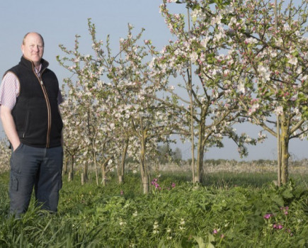 Making agroforestry fit