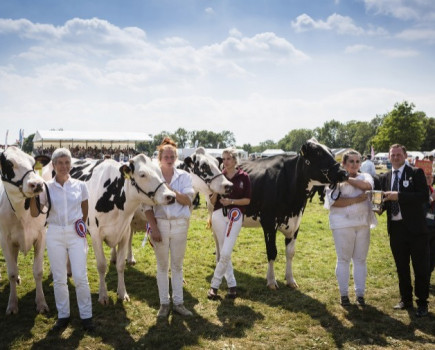 Highest number of sheep entries since 2007