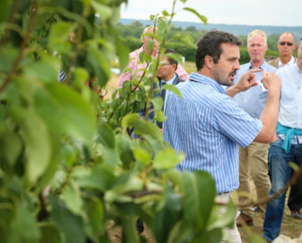 Landmark fruit event in Kent