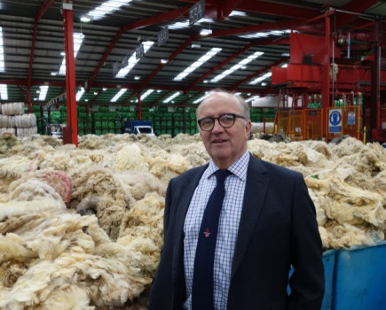 British Wool provides long term support for sheep farmers