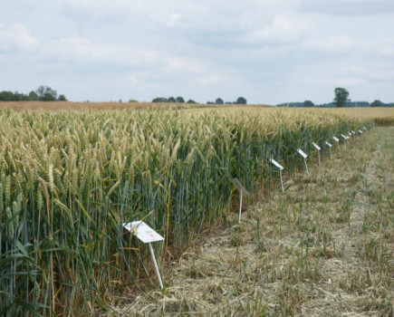 Regional open days showcase routes to higher yields