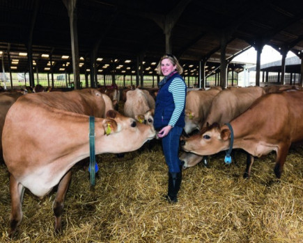 Good grass yields