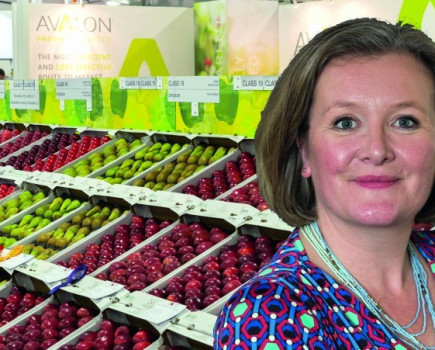 Innovation, development and rapid change in UK food