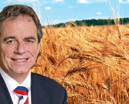 Parliament boosts UK wheat market