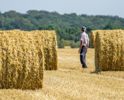 Straw removal removes nutrients too