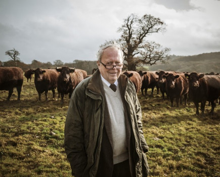 Farmers launch new club to protect and promote ‘purebred’ Sussex cattle