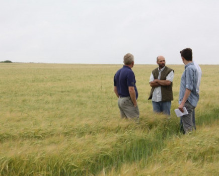 Field lab sees yield increases from compost teas on organic arable farm