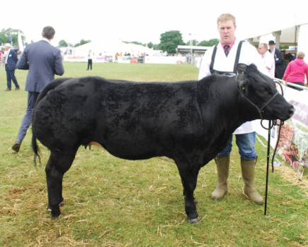 Beef expert brings science focus to industry