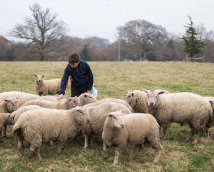 Transforming care farming services