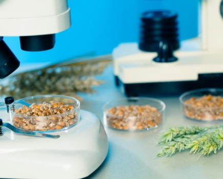 Monsanto highlights breadth of research and development investments