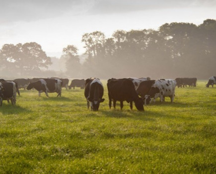 Disciplined autumn grazing