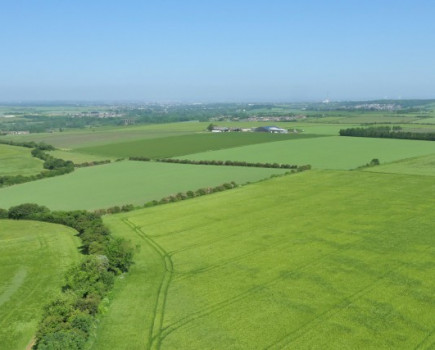 Arable farm with modern grain store