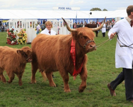 Edenbridge & Oxted Agricultural Show