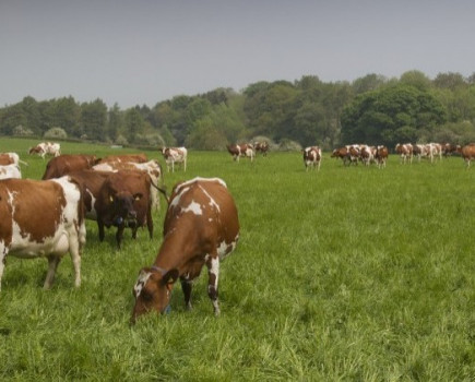 Huge opportunities for farmer-to-farmer learning this summer