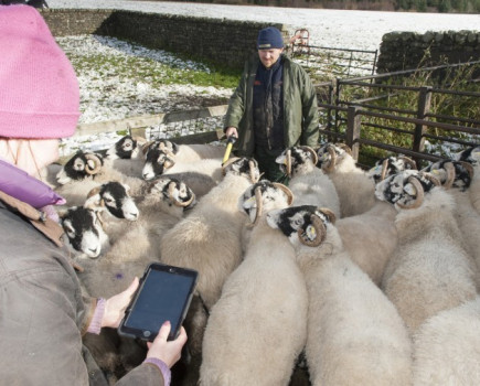 Updated app simplifies flock and herd record keeping