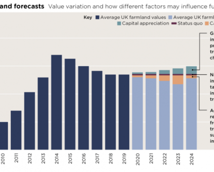 What does the future hold for the farmland market?