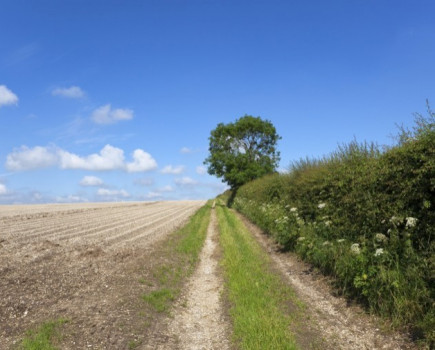 Time to apply for Hedgerows and Boundaries Grant Scheme