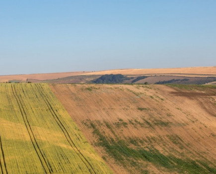 Crops are average and feed prices up