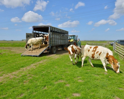 Campaign to halt the spread of bovine TB