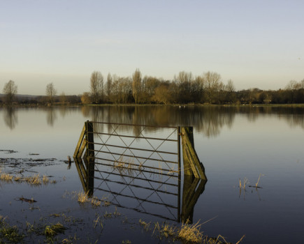 Three crop rule relaxed and £6 million fund